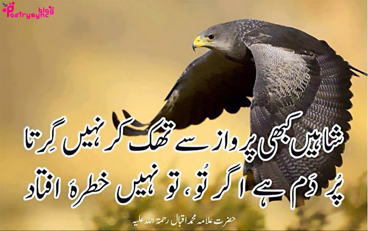 Life Inspirational Quotes In Urdu Wallpaper Allama - Allama Iqbal Poetry For Pakistan , HD Wallpaper & Backgrounds