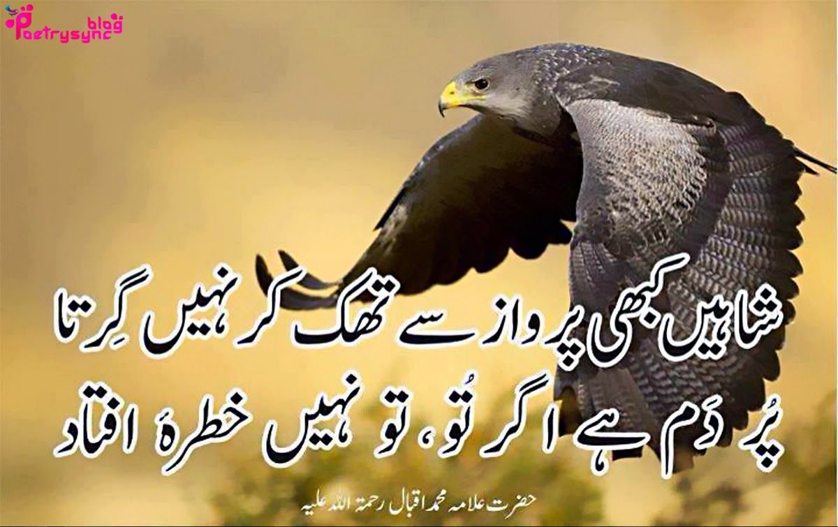 Life Inspirational Quotes In Urdu Wallpaper Allama Allama Iqbal