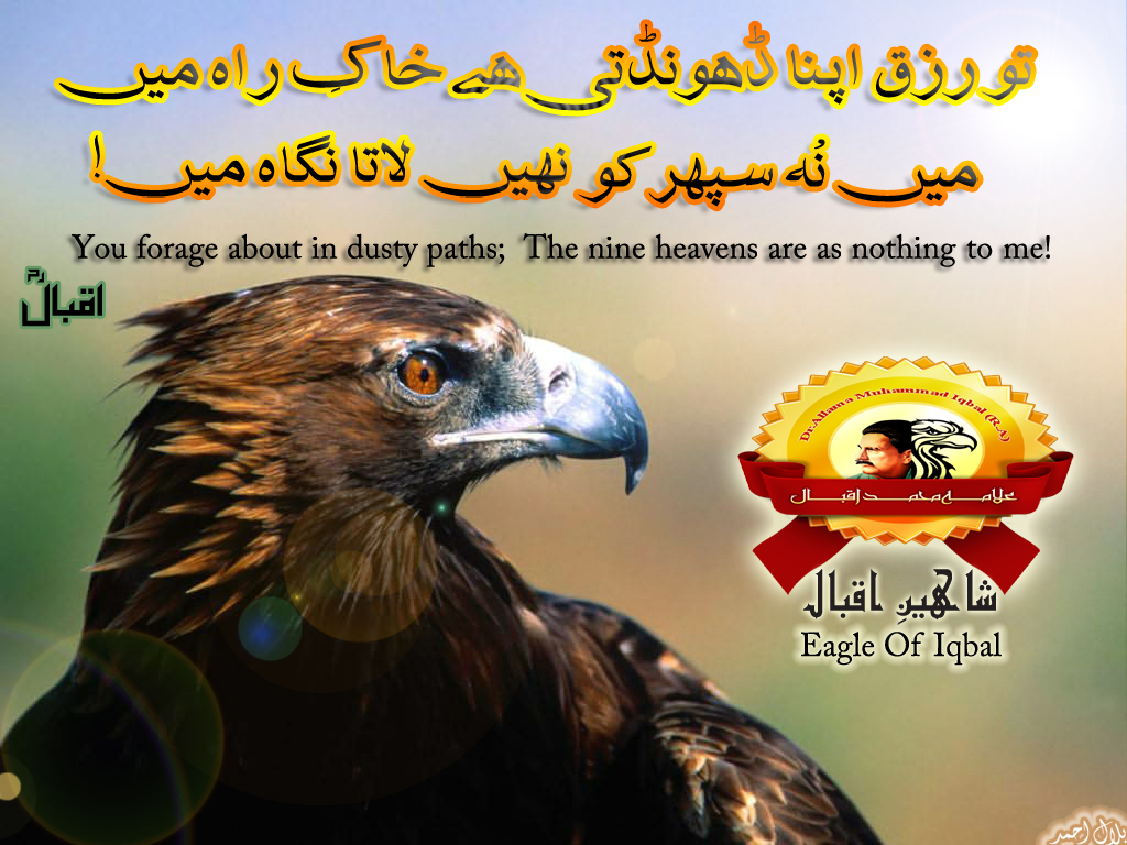 Download The Large 1024 Size Of This Photo - Allama Iqbal Poetry On Eagle , HD Wallpaper & Backgrounds