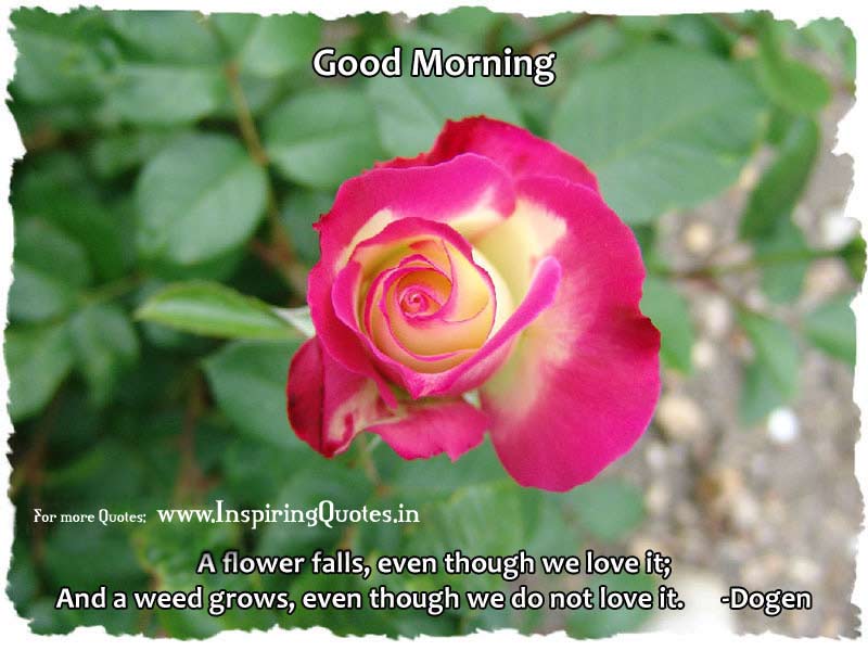 Inspire Good Morning Budda ,punjabi Thoughts About - Mahatma Gandhi On Good Morning , HD Wallpaper & Backgrounds