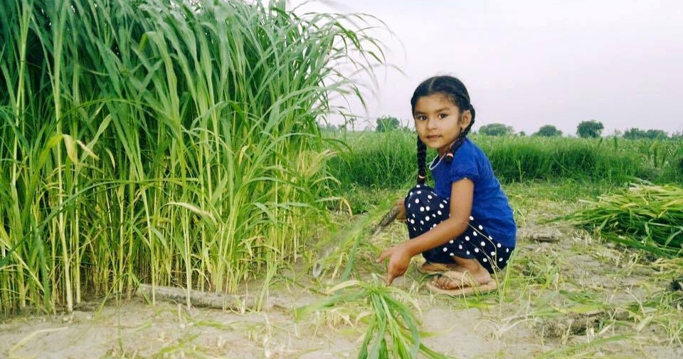 cute punjabi baby girl