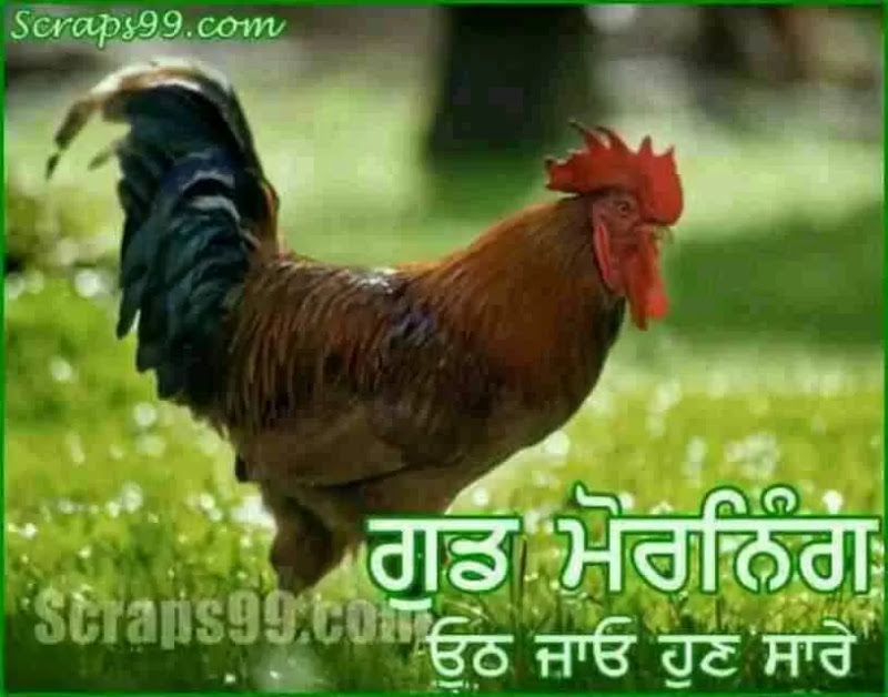 Punjabi Good Morning Sms , HD Wallpaper & Backgrounds