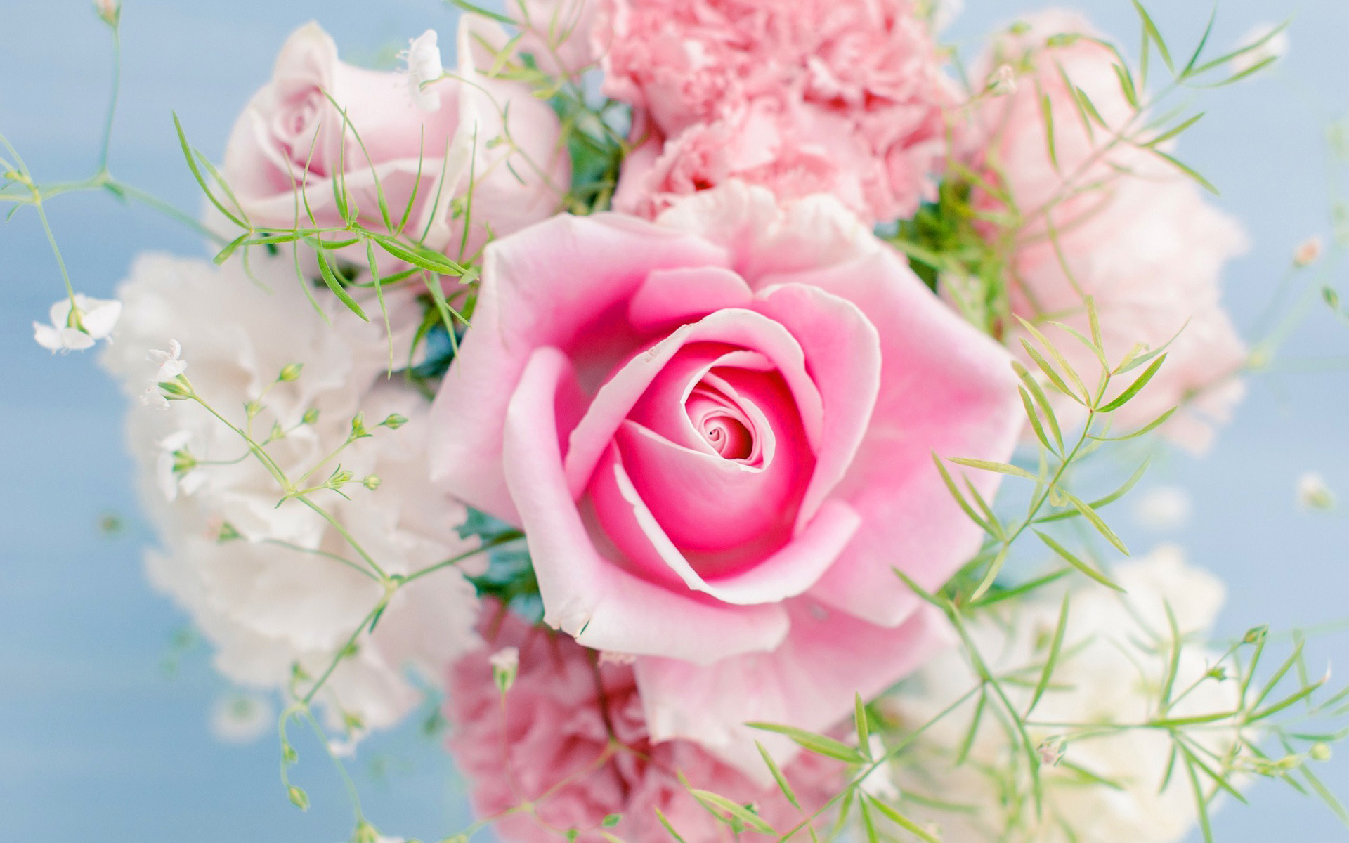 Collection «pink Roses » Wallpaper Wpt8009965 - Flowers Images High Quality , HD Wallpaper & Backgrounds