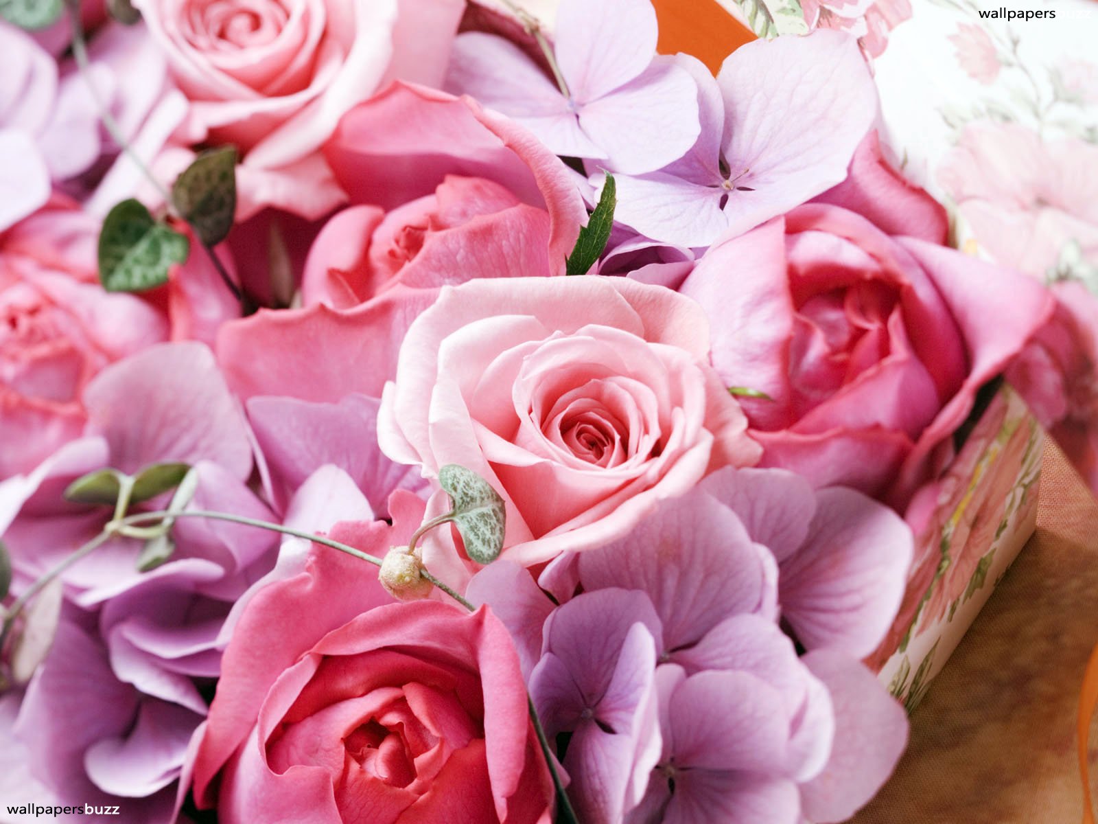 Pink Roses And Violets , HD Wallpaper & Backgrounds