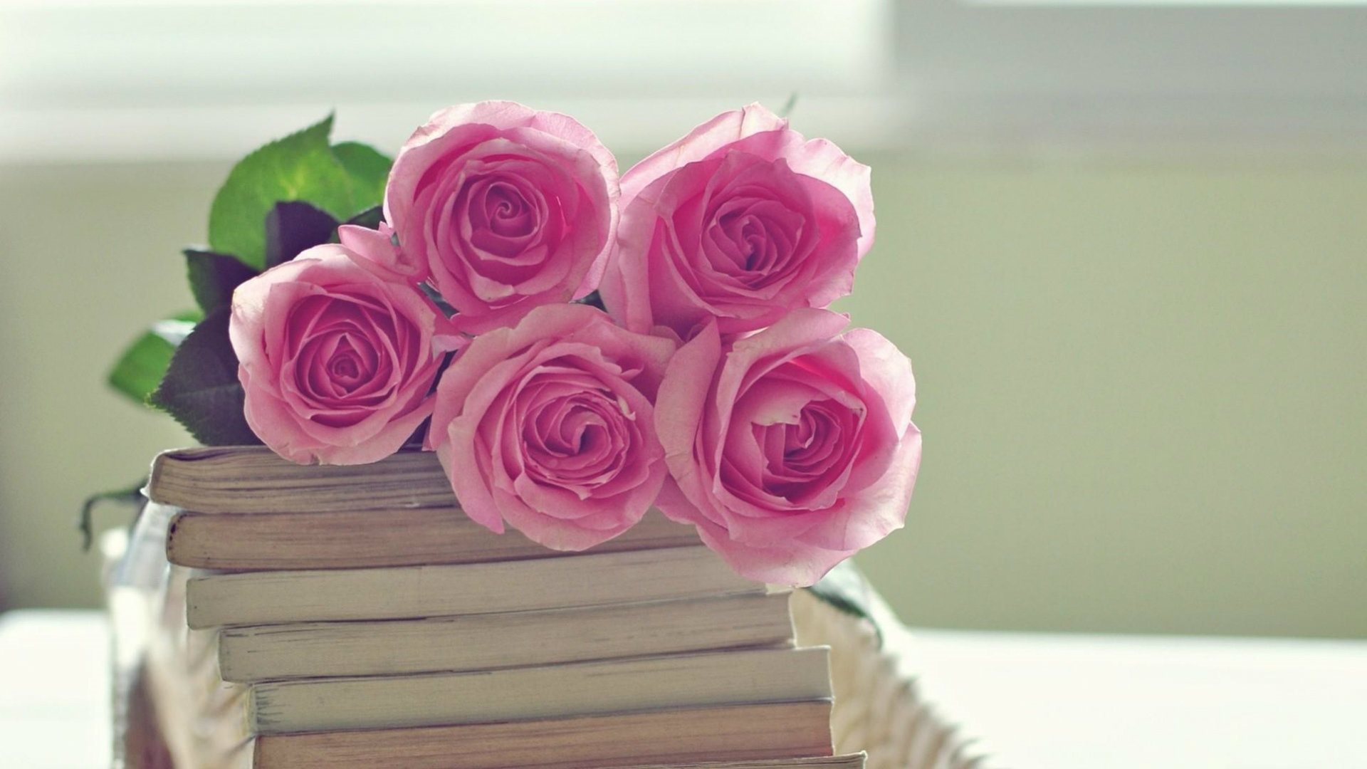 Full Hd 1080p Pink Rose Wallpaper - Rose Wallpaper Of Books And Flowers , HD Wallpaper & Backgrounds