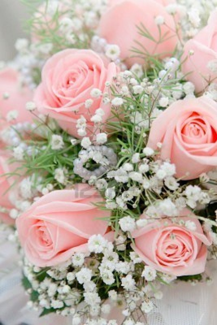 Light - Baby's Breath And Pink Roses , HD Wallpaper & Backgrounds