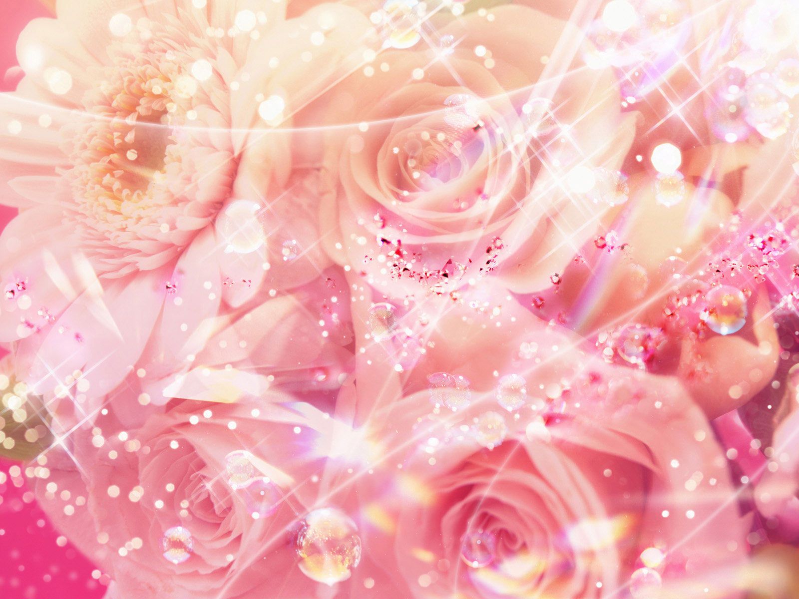 Pretty Pink Roses Background , HD Wallpaper & Backgrounds
