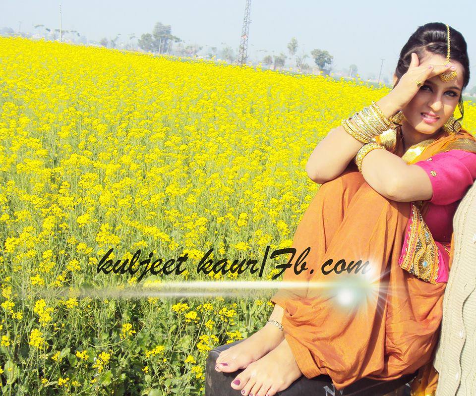 Punjabi Girls In Suit - Canola , HD Wallpaper & Backgrounds