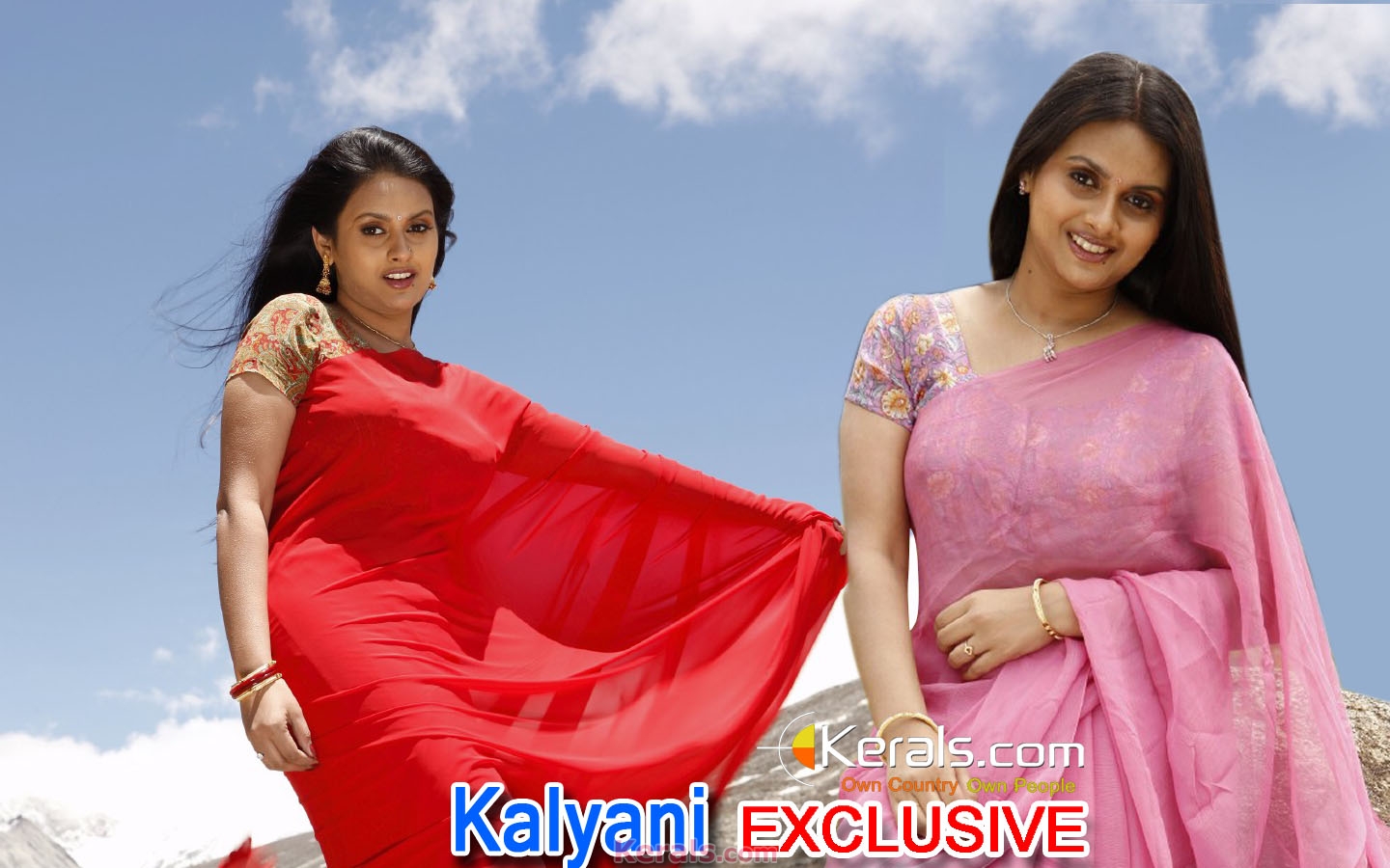 Comment - Actress Kalyani Hot Navel , HD Wallpaper & Backgrounds