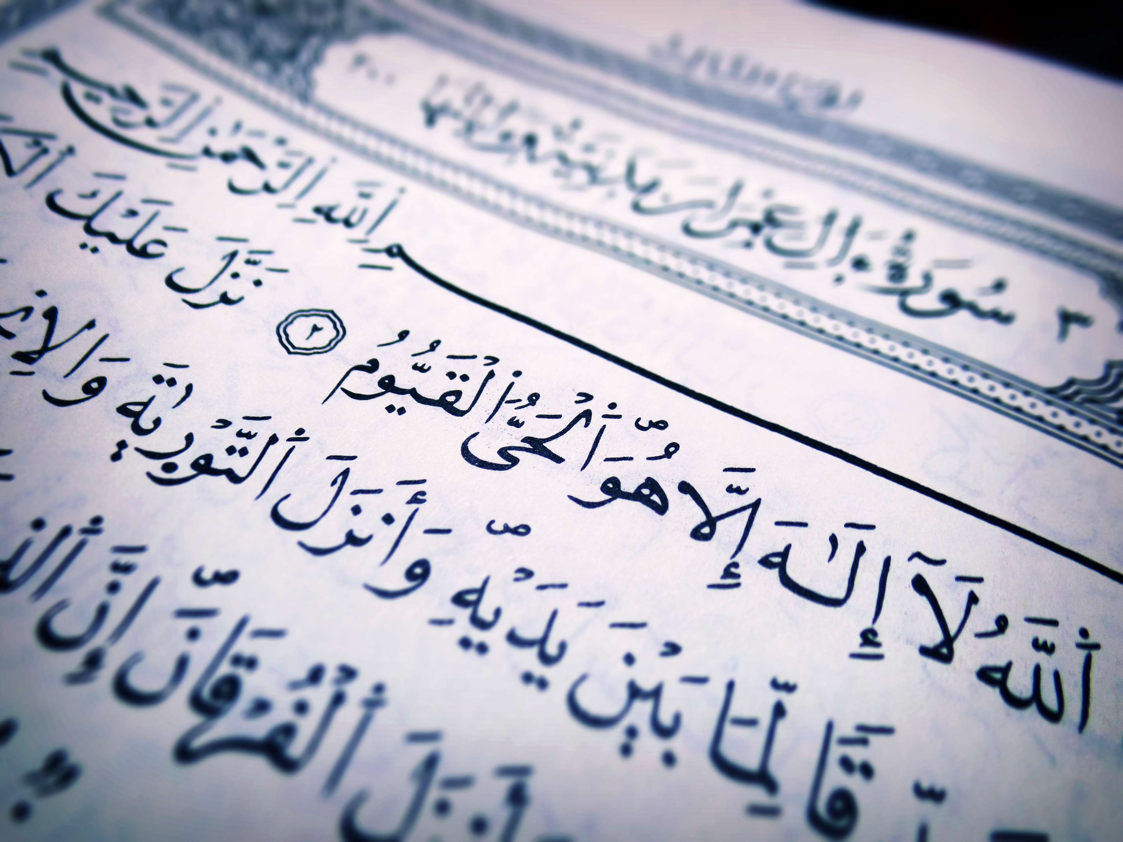 Iftar, Information, Islam, Islamic, Kareem, Koran, - Language Has The Most Beautiful Writing , HD Wallpaper & Backgrounds