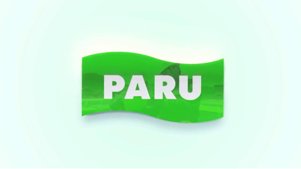 Paru Paru Korea Solar Pv Power Plants Constructed And - Paru , HD Wallpaper & Backgrounds