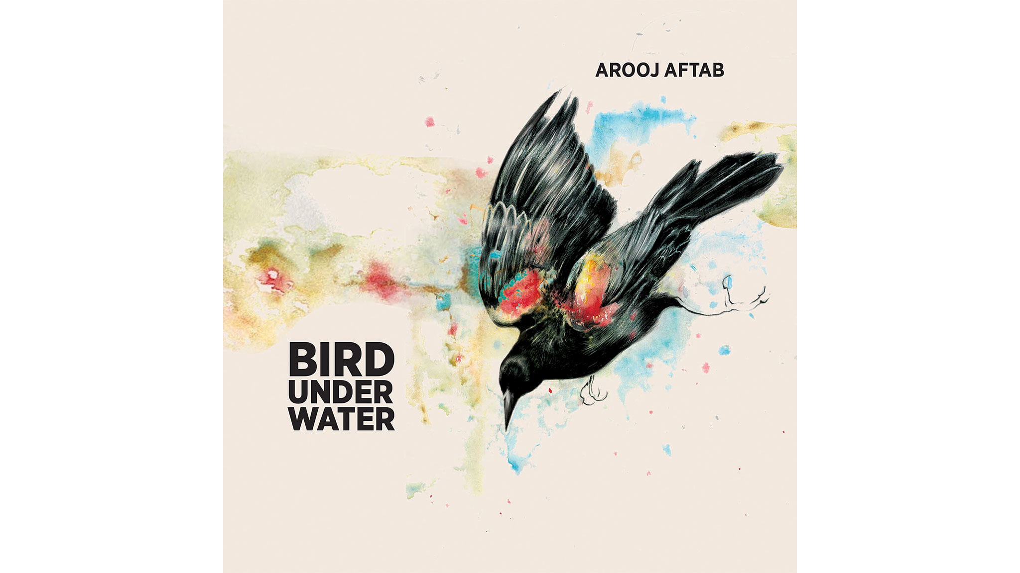 Aftab Name Wallpaper - Bird Under Water , HD Wallpaper & Backgrounds