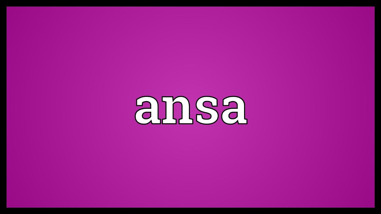 Ansa Meaning - Upper Thorax Meaning In Telugu , HD Wallpaper & Backgrounds