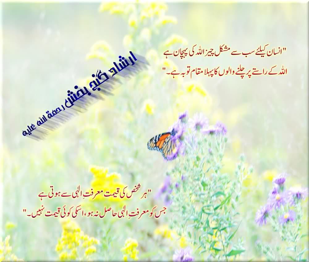 Amreen Name Wallpaper - Ganj Bakhsh Faiz E Alam Poetry , HD Wallpaper & Backgrounds