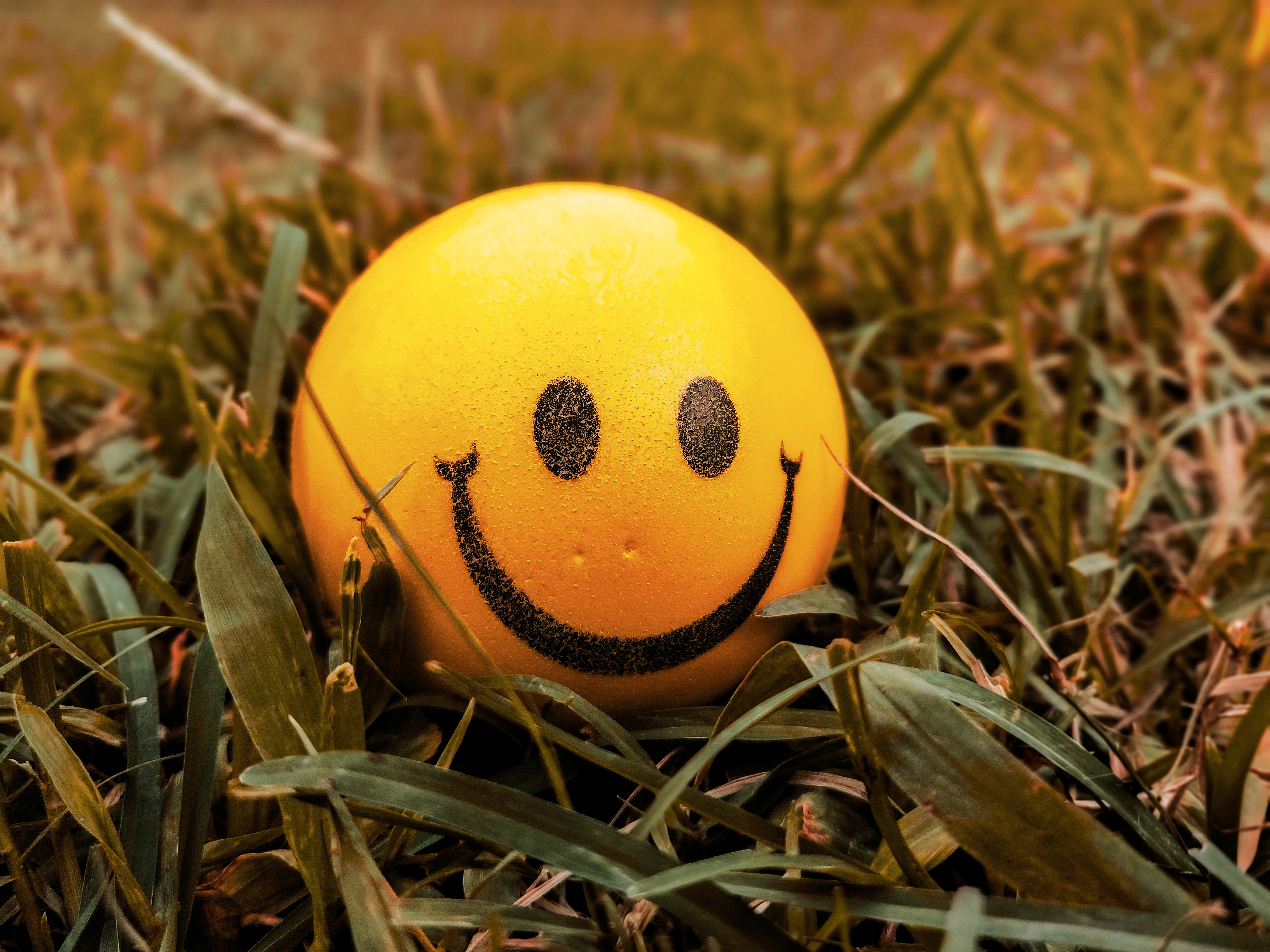 Smiley , HD Wallpaper & Backgrounds