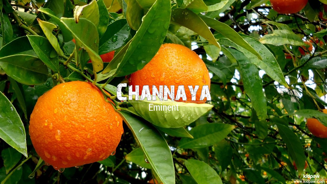 Shanu Name Wallpaper - Orange Tree High Resolution , HD Wallpaper & Backgrounds