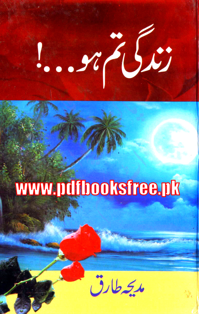 Zindagi Tum Ho Novel By Madiha Tariq - Zindagi Tum Ho Novel , HD Wallpaper & Backgrounds