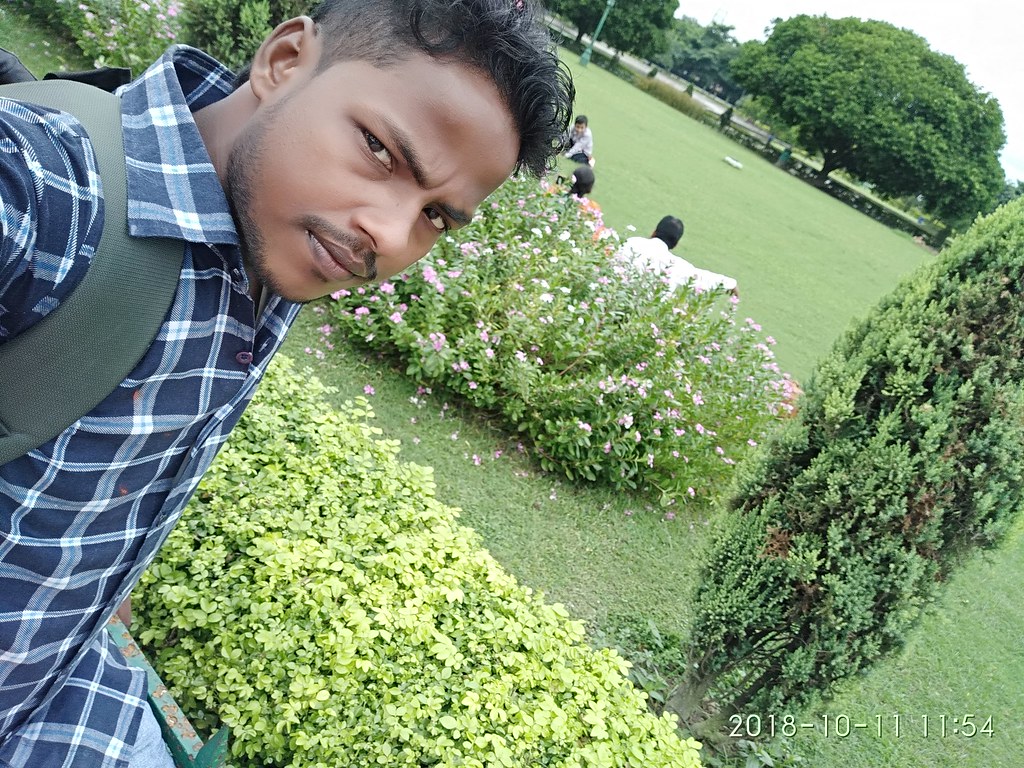 Raushan Raja Tags - Botanical Garden , HD Wallpaper & Backgrounds