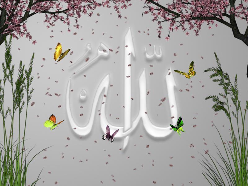 Beautiful - Beautiful Name Of Allah , HD Wallpaper & Backgrounds