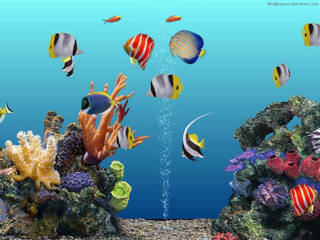 Lovely Wallpaper Laptop Bergerak Aquarium Download - Screensaver Aquarium Windows 7 Free , HD Wallpaper & Backgrounds