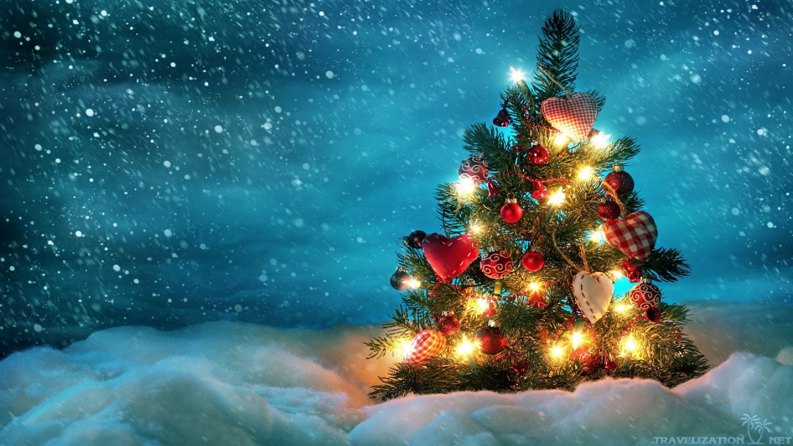 Christmas Tree In Snow , HD Wallpaper & Backgrounds