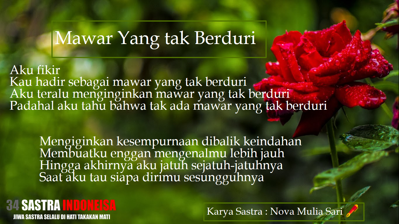 Puisi Patah Hati Mawar Yang Tak Berduri - Floribunda , HD Wallpaper & Backgrounds