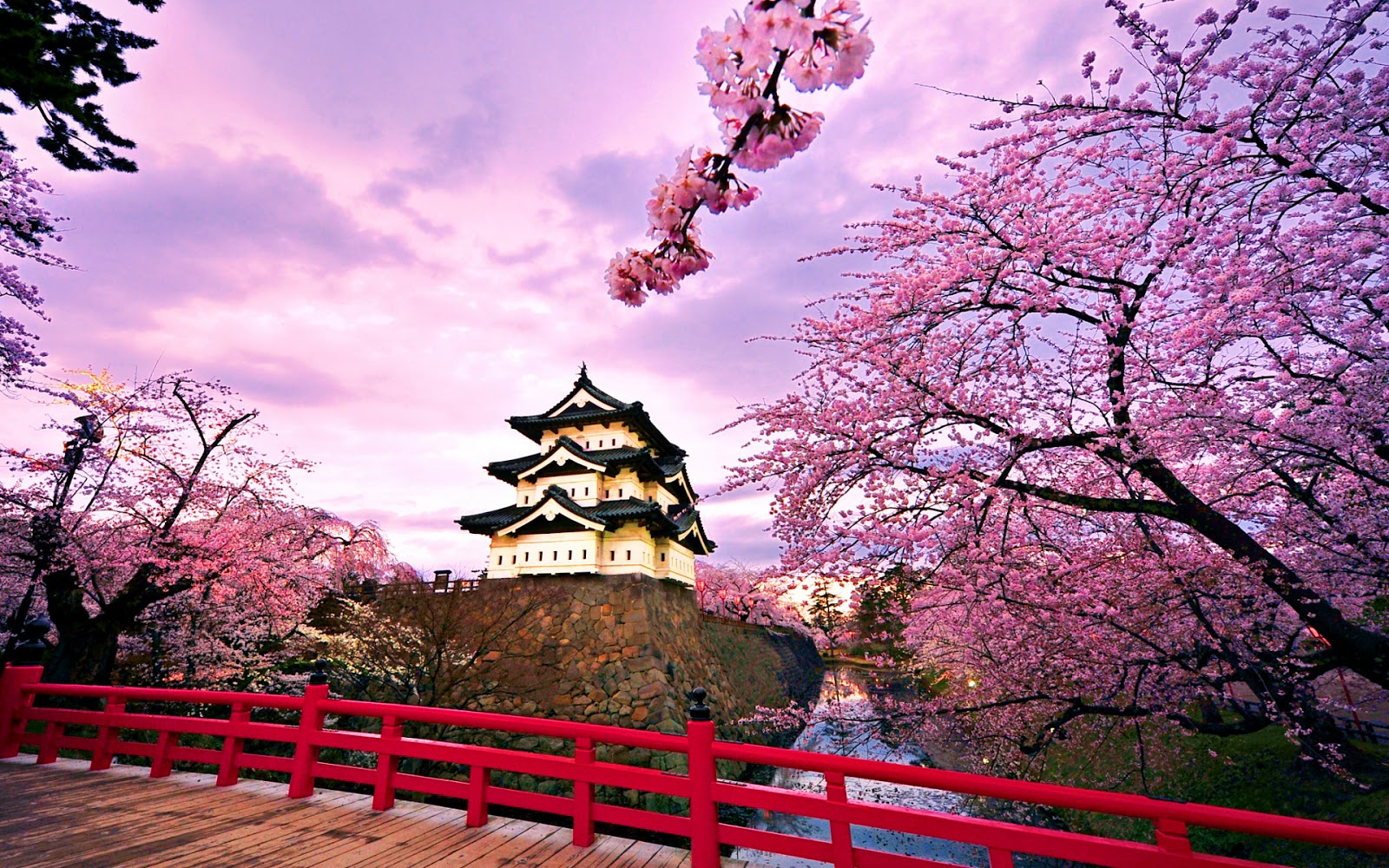 Gambar Pemandangan Indah Di Jepang - Hirosaki Castle , HD Wallpaper & Backgrounds
