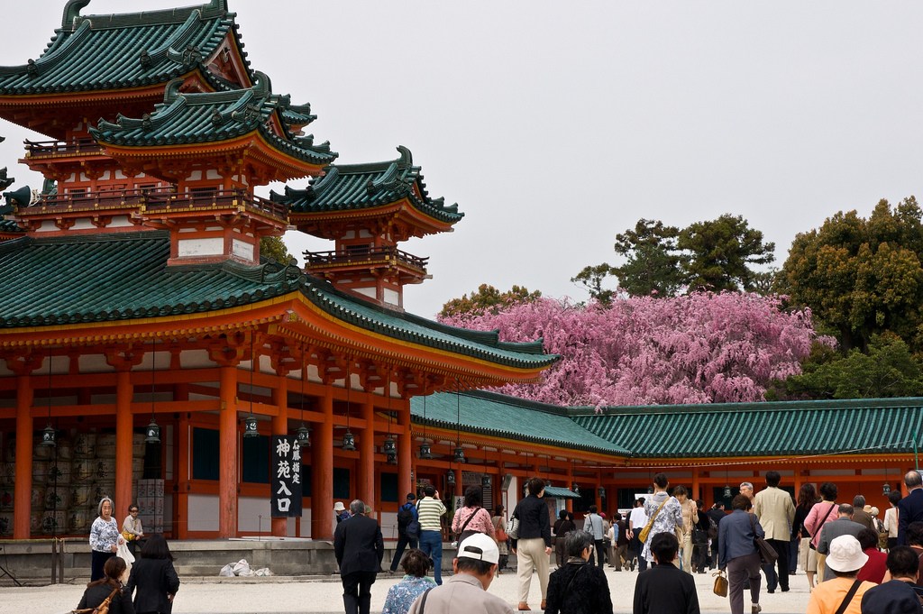 Heian Shrine Sakura - Heian Shrine , HD Wallpaper & Backgrounds