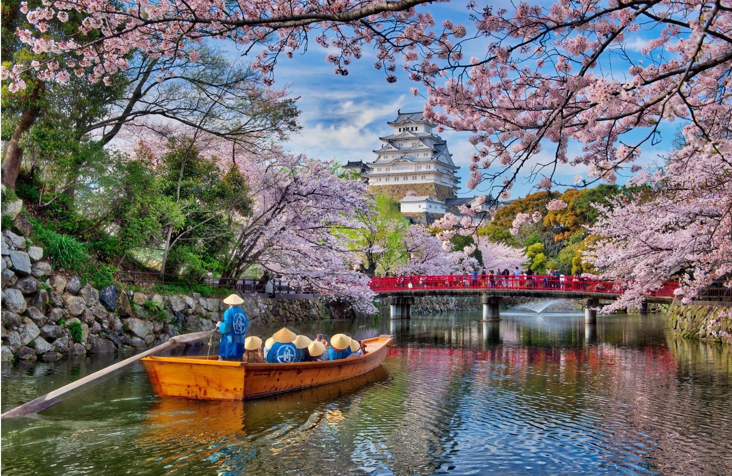 6 Tempat Fantastis Di Jepang Untuk Melihat Bunga Sakura - Bbc Springwatch Cherry Blossom , HD Wallpaper & Backgrounds