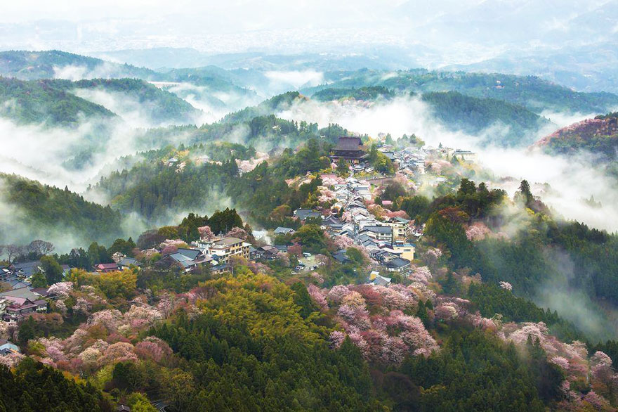 15 Foto Sakura Mekar Yang Akan Menyihir Mata Kalian - Mount Yoshino , HD Wallpaper & Backgrounds