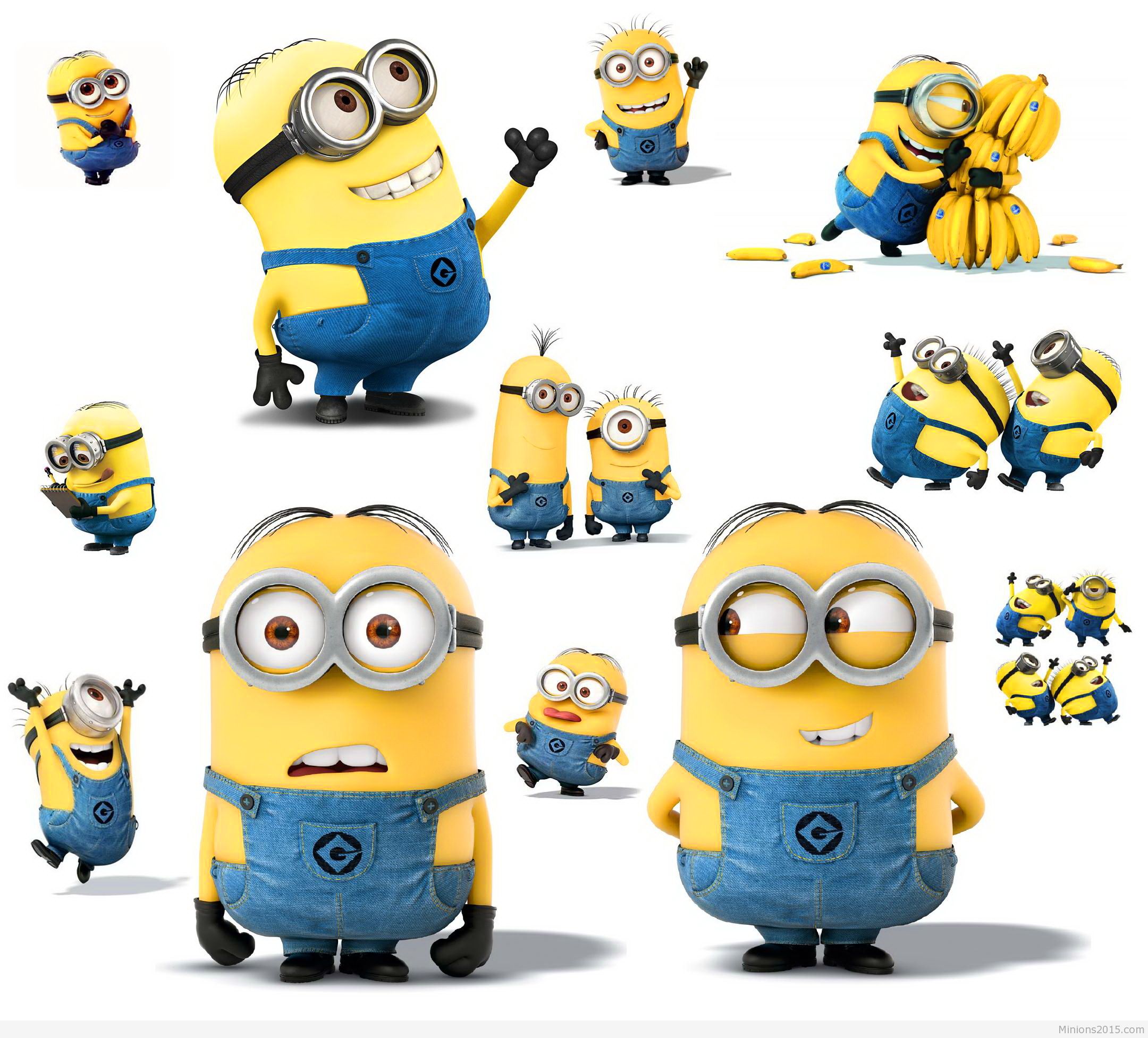 Minion Mania Cute Cartoon Despicable Me Hd Wallpaper , HD Wallpaper & Backgrounds