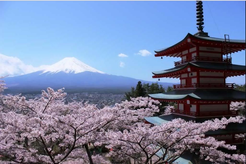 Gambar Rumah Jepang Dan Bunga Sakura - Mount Fuji , HD Wallpaper & Backgrounds