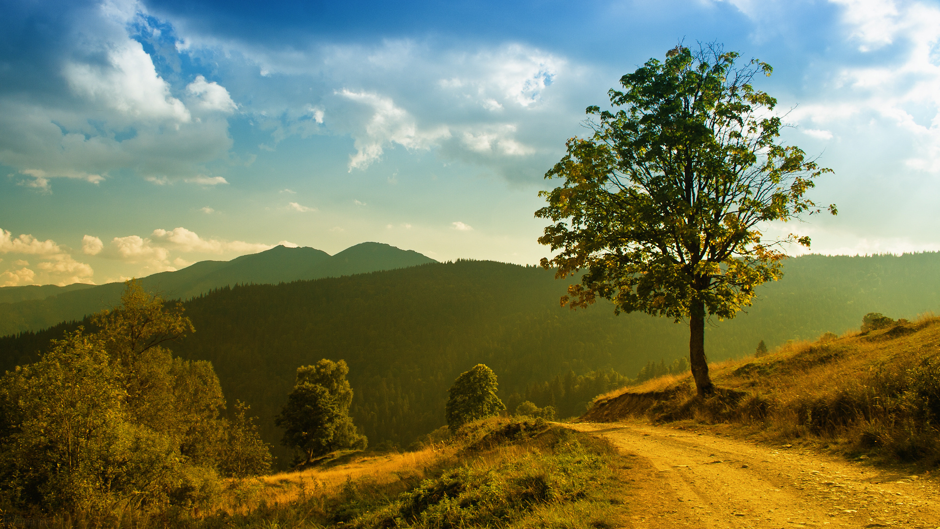 Landscape With Hills And Trees , HD Wallpaper & Backgrounds