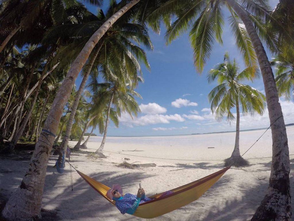 Gambar Pohon Kelapa Di Pantai Kumpulan Montase Kolase 