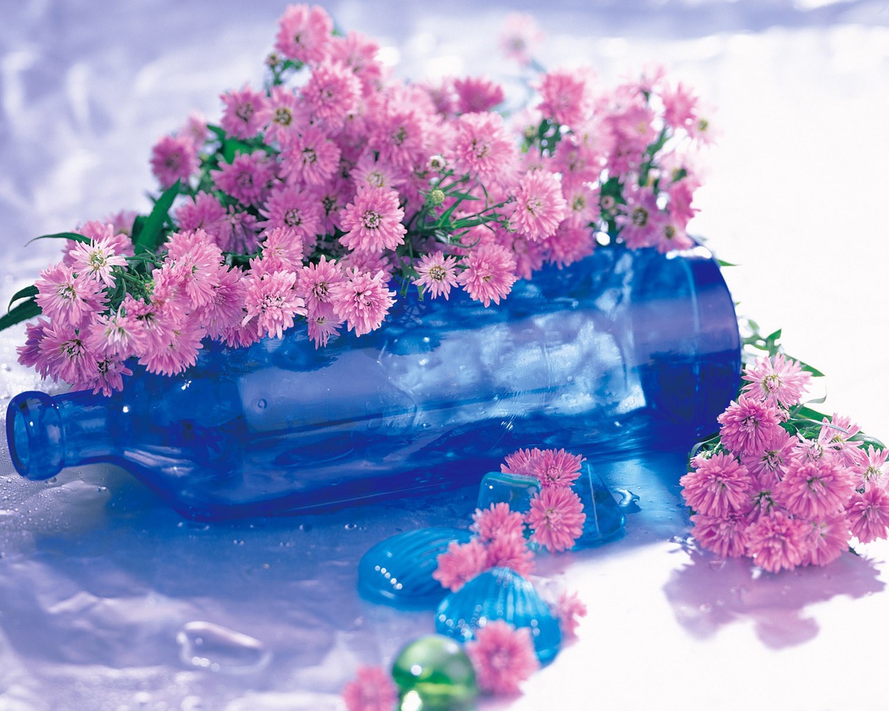 Flowers Pink Nature Blue Flower Hd Desktop Wallpaper - Blue And Pink Desktop , HD Wallpaper & Backgrounds