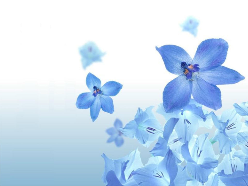 Blue Flower Wallpaper Hd Resolution - Sea Blue Flowers , HD Wallpaper & Backgrounds