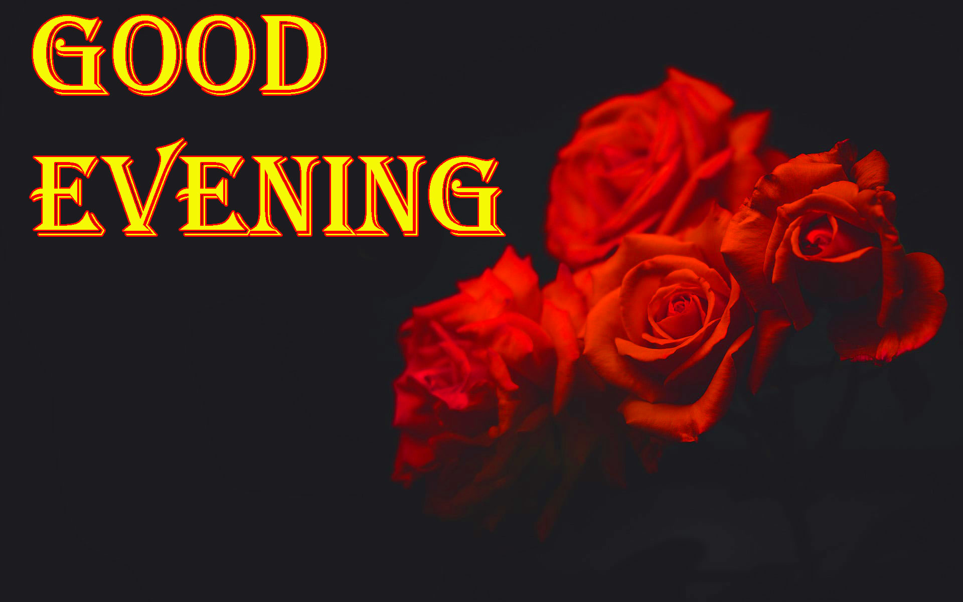 Good Evening Images For Lover - Good Evening Red Rose , HD Wallpaper & Backgrounds