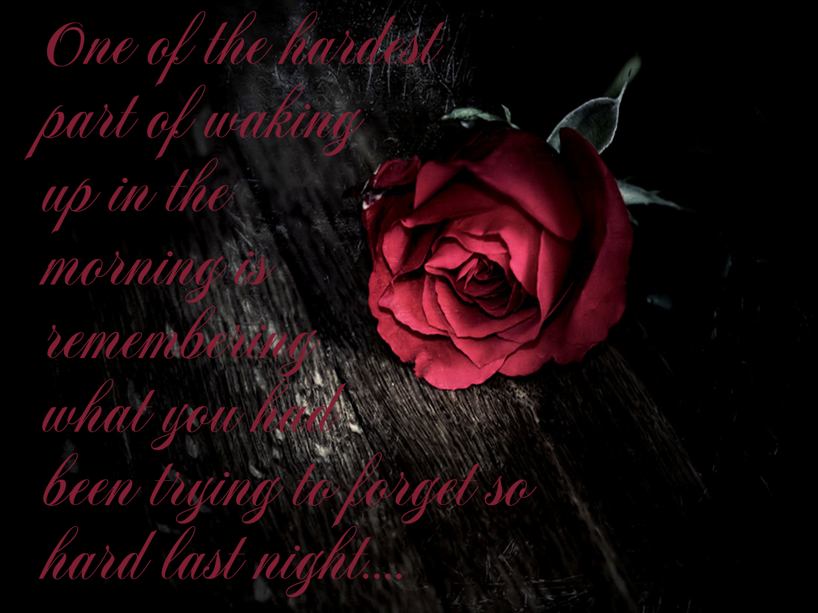 Super Quotes Backgrounds - Rose For A Broken Heart , HD Wallpaper & Backgrounds