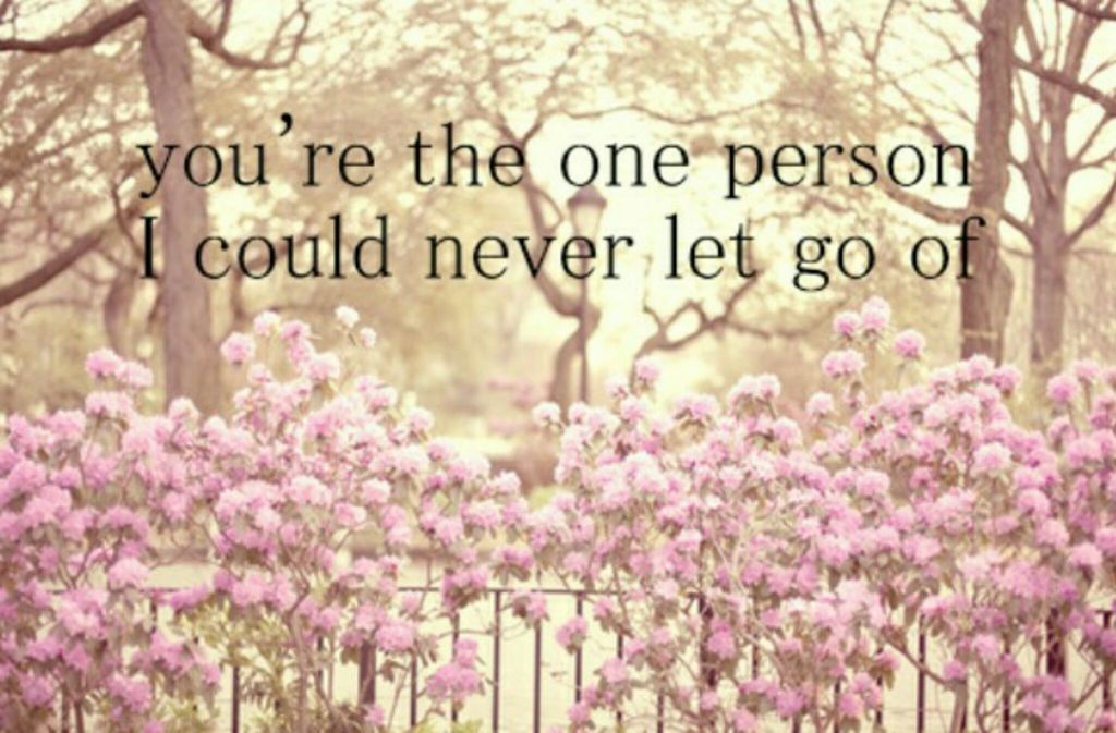 Download Image - Ll Never Let You Go , HD Wallpaper & Backgrounds