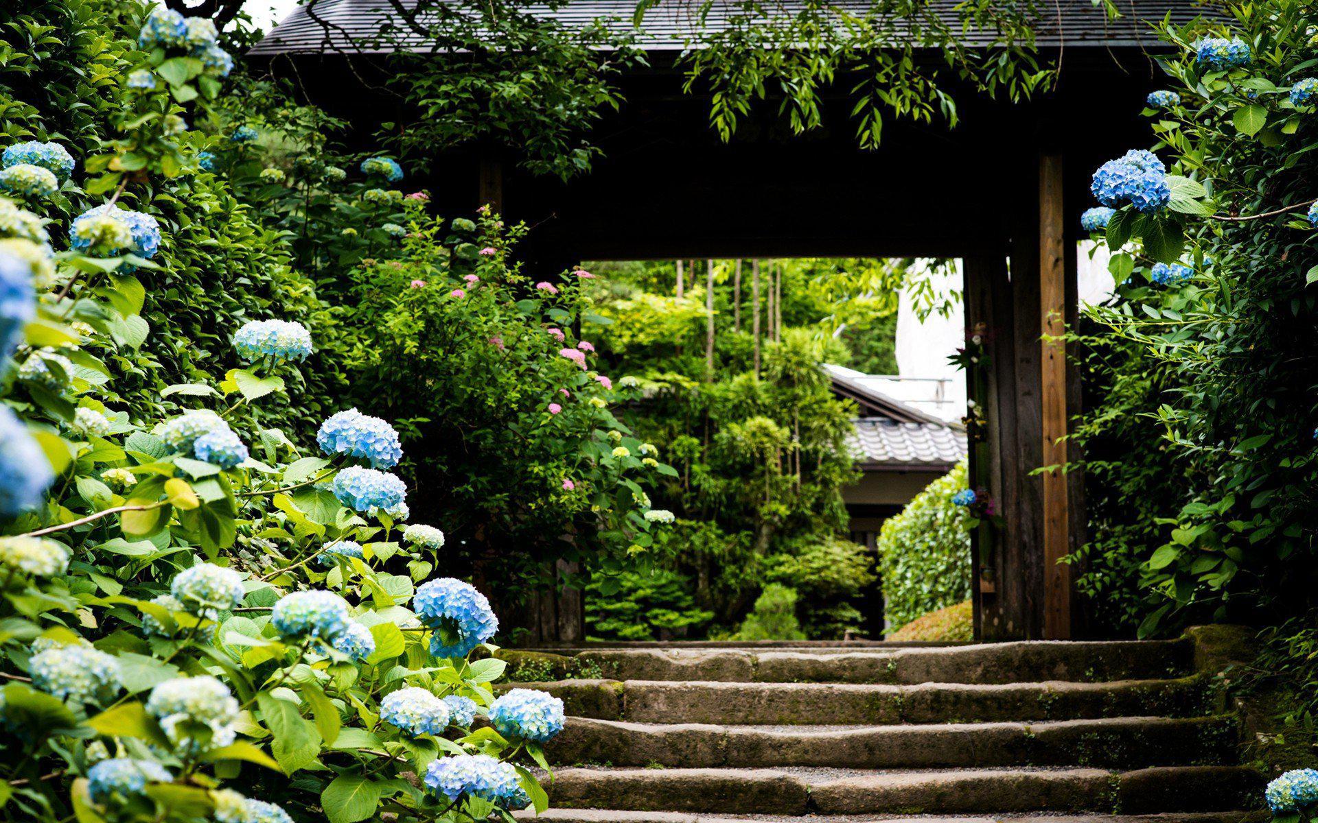 Pohon Alam Arsitektur Tangga Taman Bunga Hydrangea - Flower Garden Blur Background , HD Wallpaper & Backgrounds