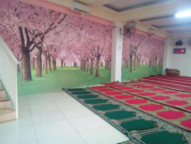Tampilkan Gambar - Cherry Blossom , HD Wallpaper & Backgrounds