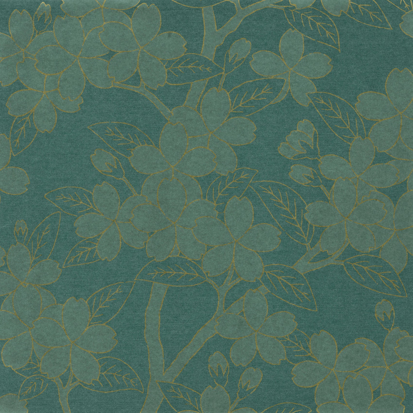 Camellia - Teal - Little Green Camellia , HD Wallpaper & Backgrounds
