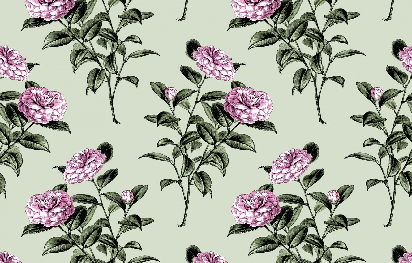 Photo Wallpaper Flowers, Background, Wallpaper, Flowers, - Garden Roses , HD Wallpaper & Backgrounds