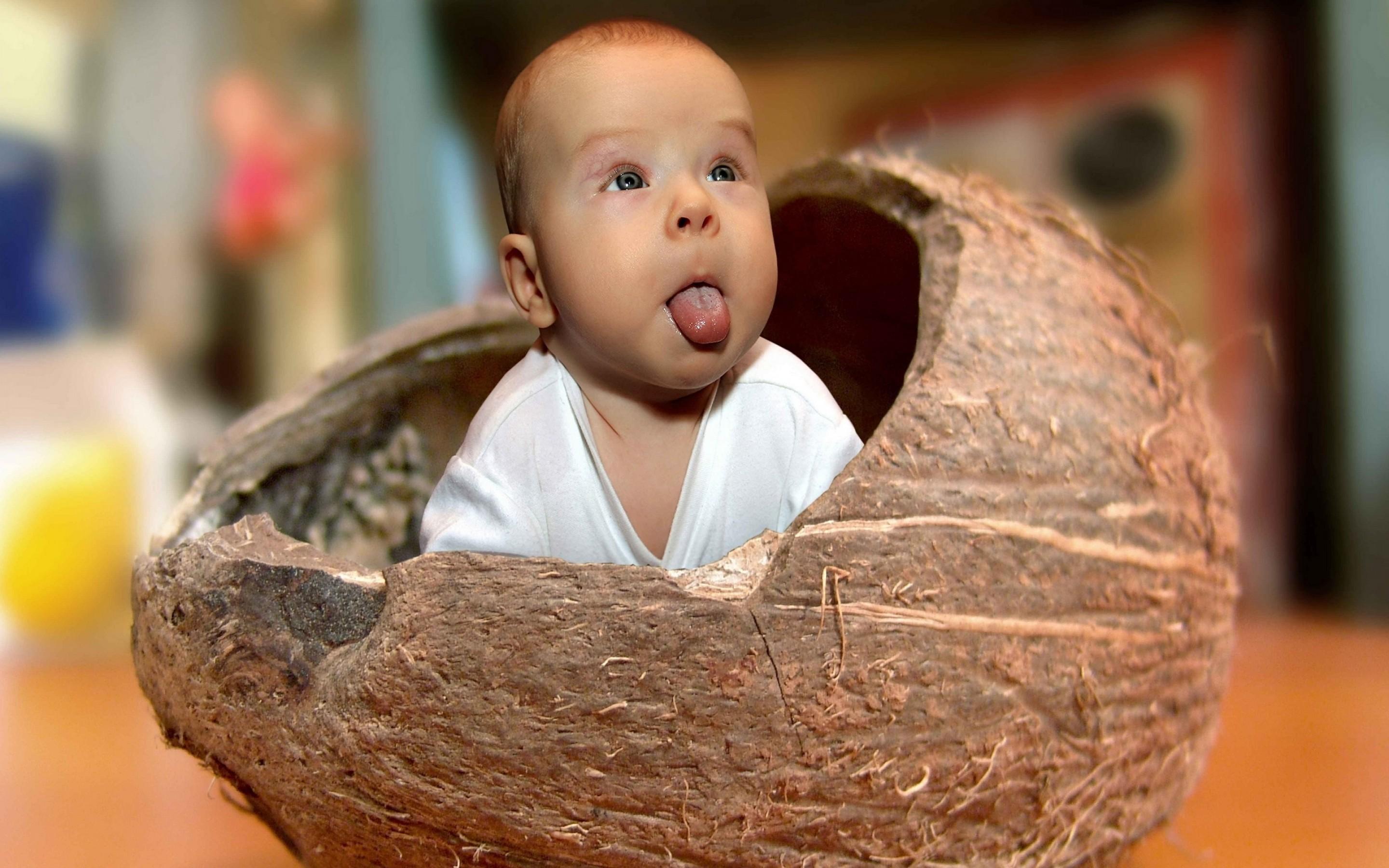 Hd Funny Baby Wallpaper - Baby In A Coconut , HD Wallpaper & Backgrounds