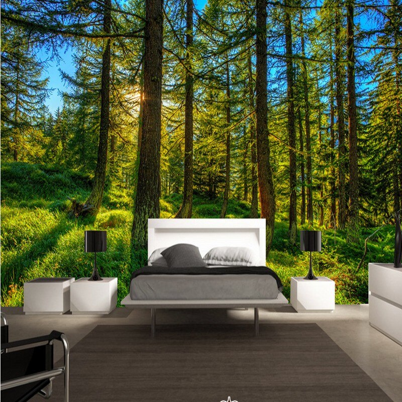 Switzerland Forest , HD Wallpaper & Backgrounds