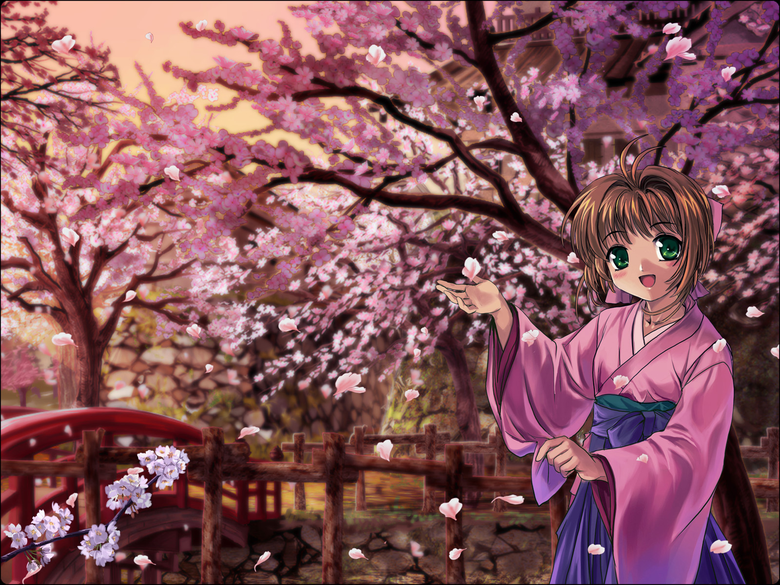 Kinomoto Sakura - Card Captor Sakura , HD Wallpaper & Backgrounds