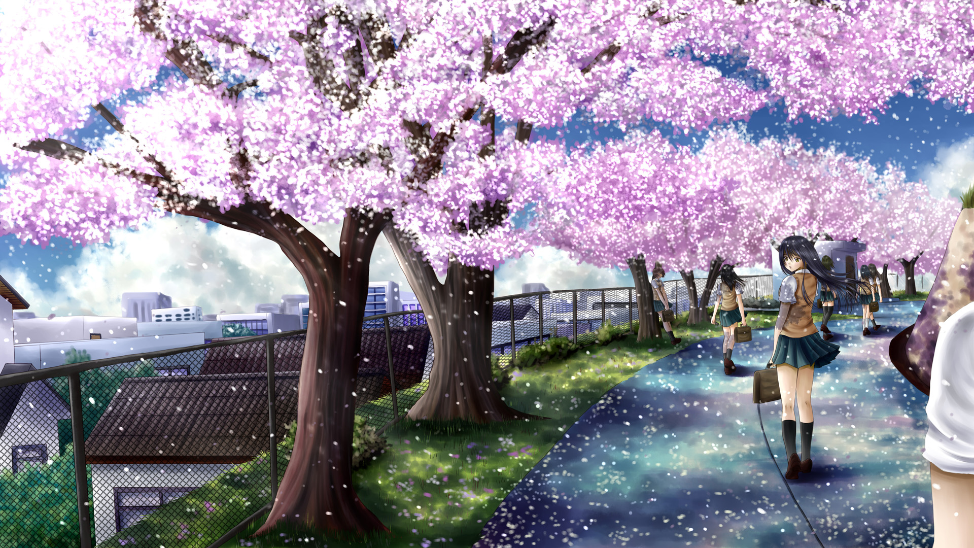 Anime Cherry Blossom Wallpaper-5tu4hpk - Anime Cherry Blossom Tree , HD Wallpaper & Backgrounds
