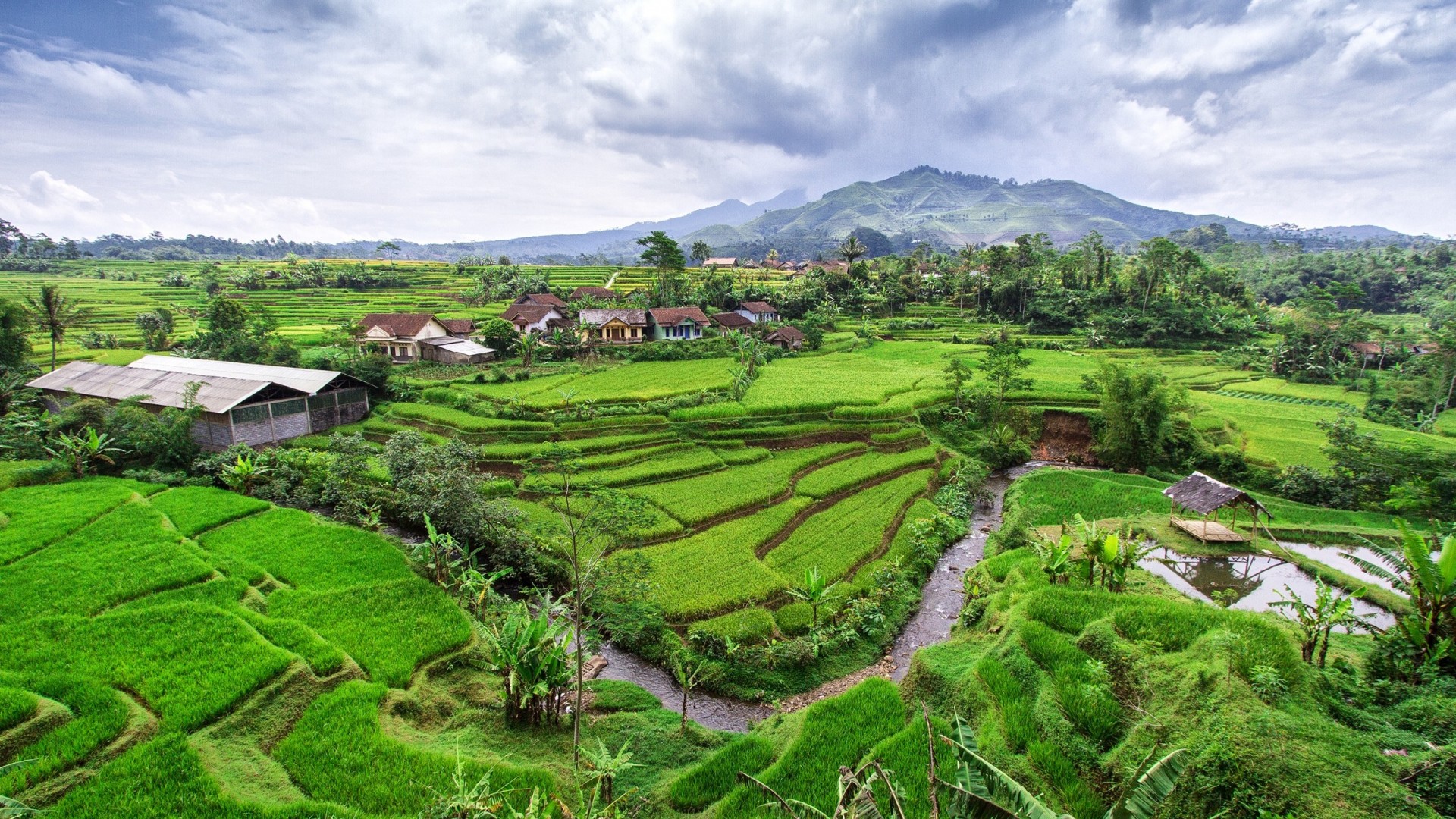 Indonesia Wallpapers - Indonesian Farm Hd , HD Wallpaper & Backgrounds