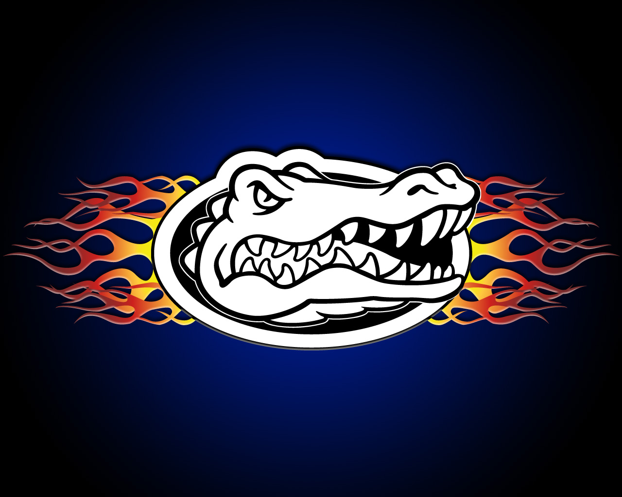 Web - Florida Gators Tattoos Black And White , HD Wallpaper & Backgrounds
