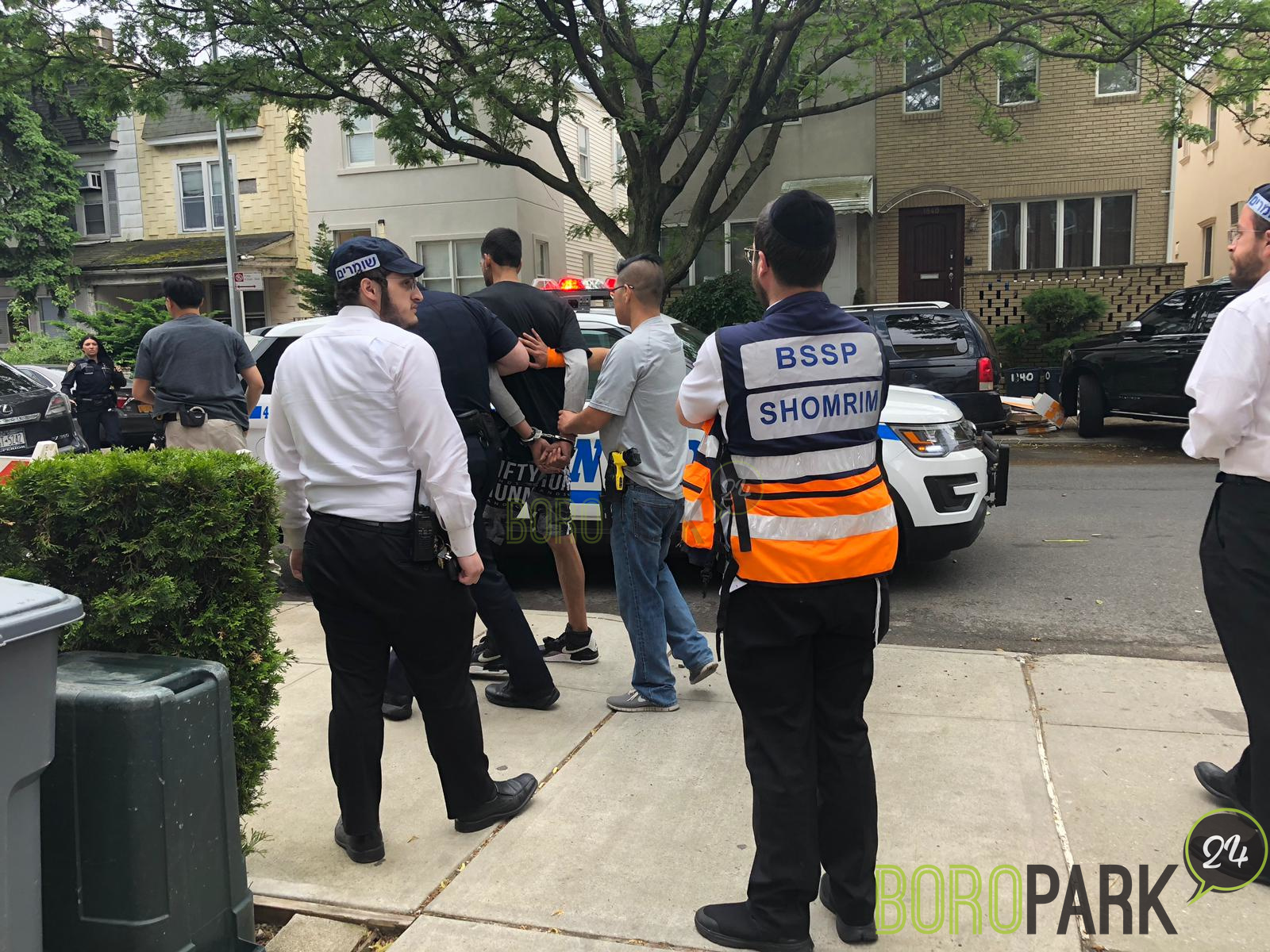 Boro Park A Suspect Who Went On A Robbery Spree Was - Tree , HD Wallpaper & Backgrounds